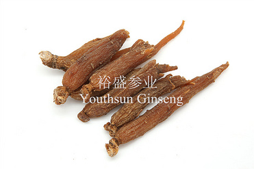 Red Ginseng