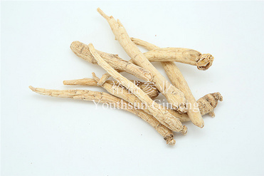 American Ginseng Small Roots
