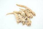 American Ginseng