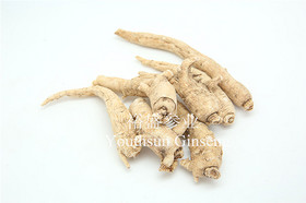 American Ginseng