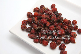 Dried Rosehips Fruit