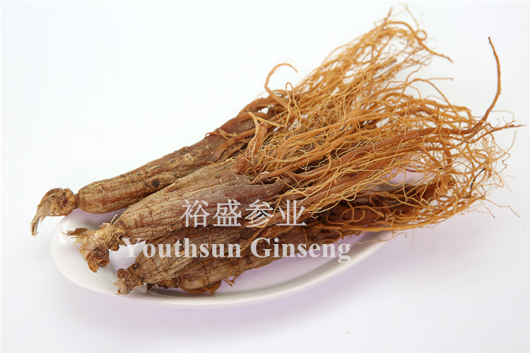 Red Ginseng Entire Roots