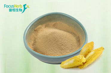 African mango seed extract