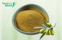 Olive polyphenols