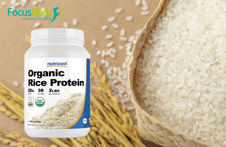 Organic rice protein