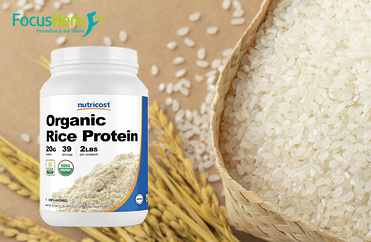 Organic rice protein