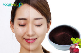 Beet root powder