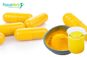 Curcumin 95