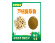 Reed root extract