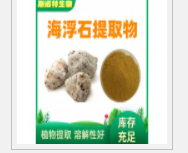 The sea pumice extract