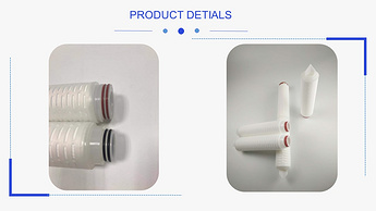 Hydrophobic PTFE pleated filter cartridge