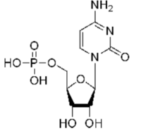 Cytidine monophosphate