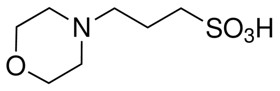 3 - (N - morpholine) propionic acid