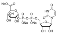 Uridine 5'-diphosphoglucuronic acid trisodium salt