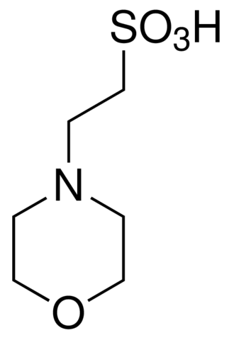 2 - morpholine ethyl sulfonic acid