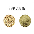 Semen Ginkgo Extract