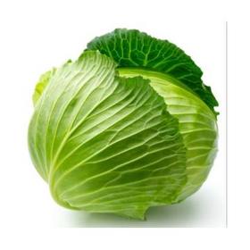 Cabbage Extract