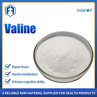 Hot Selling L-Valine for Nutritional Supplements