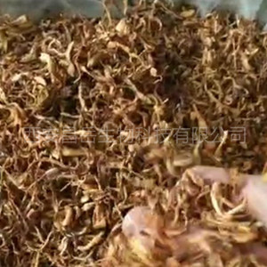 Cordyceps Militaris Extract