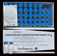 Kanamycin sulphate for injection, 1g/10ml