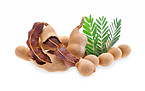 Tamarind Extract