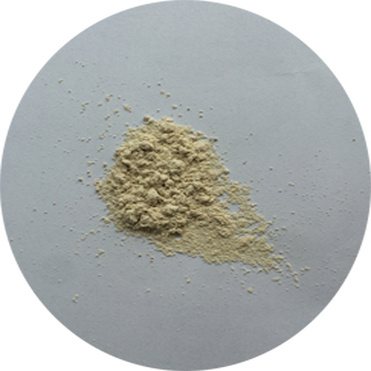 Oregano extract