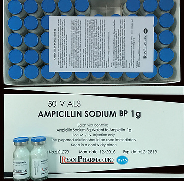 Ampicillin for injection, 1g