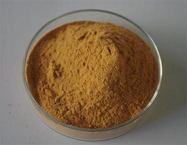 Fructus Psoraleae extract