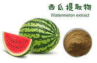 Watermelon Rind extract powder