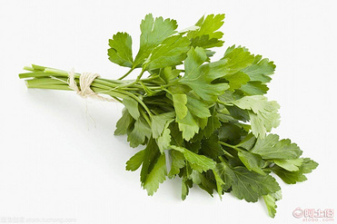 parsley extract