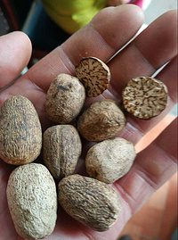 Nutmeg extract
