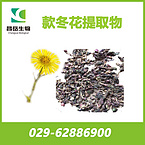 Coltsfoot Flower Extract