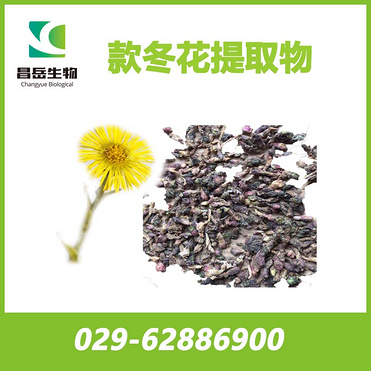 Coltsfoot Flower Extract