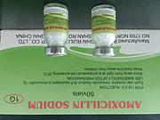 Amoxicillin for injection,1g