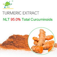 Turmeric Extract 95.00% Curcumins