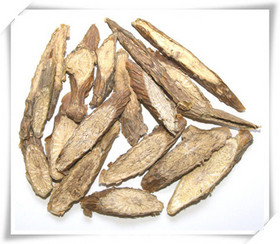 Tinospora extract