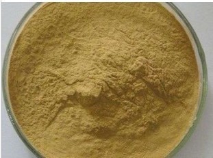 Fructus Aurantii Extract