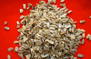 Grapefruit Seed Extract