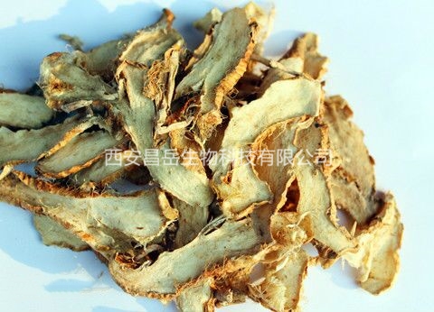 Rhizoma Anemarrhenae Extract