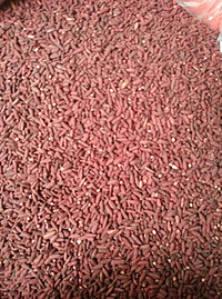 Red Yeast Rice P.E