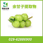 Fructus phyllanthi Extract