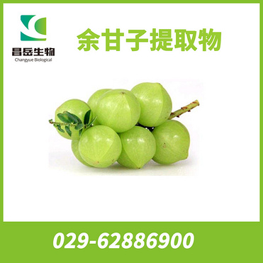 Fructus phyllanthi Extract