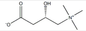 Levocarnitine