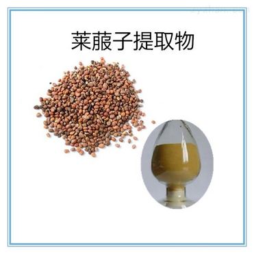 Radish Seed Extract