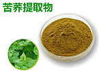 Buckwheat extract