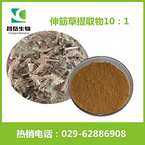 Lycopodll Extract