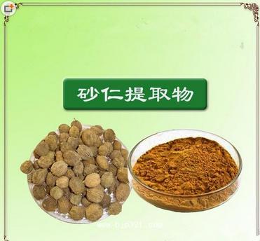 fructus amomi Extract