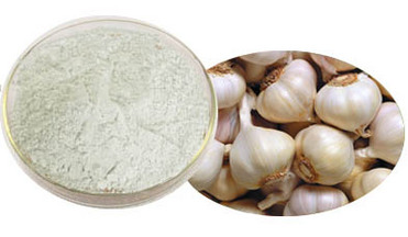 Garlic Extract