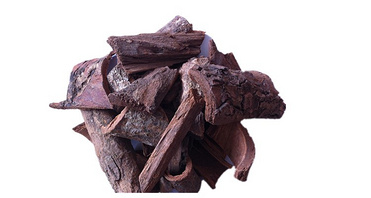 Pygeum africanum Extract