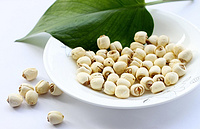 lotus seed extract